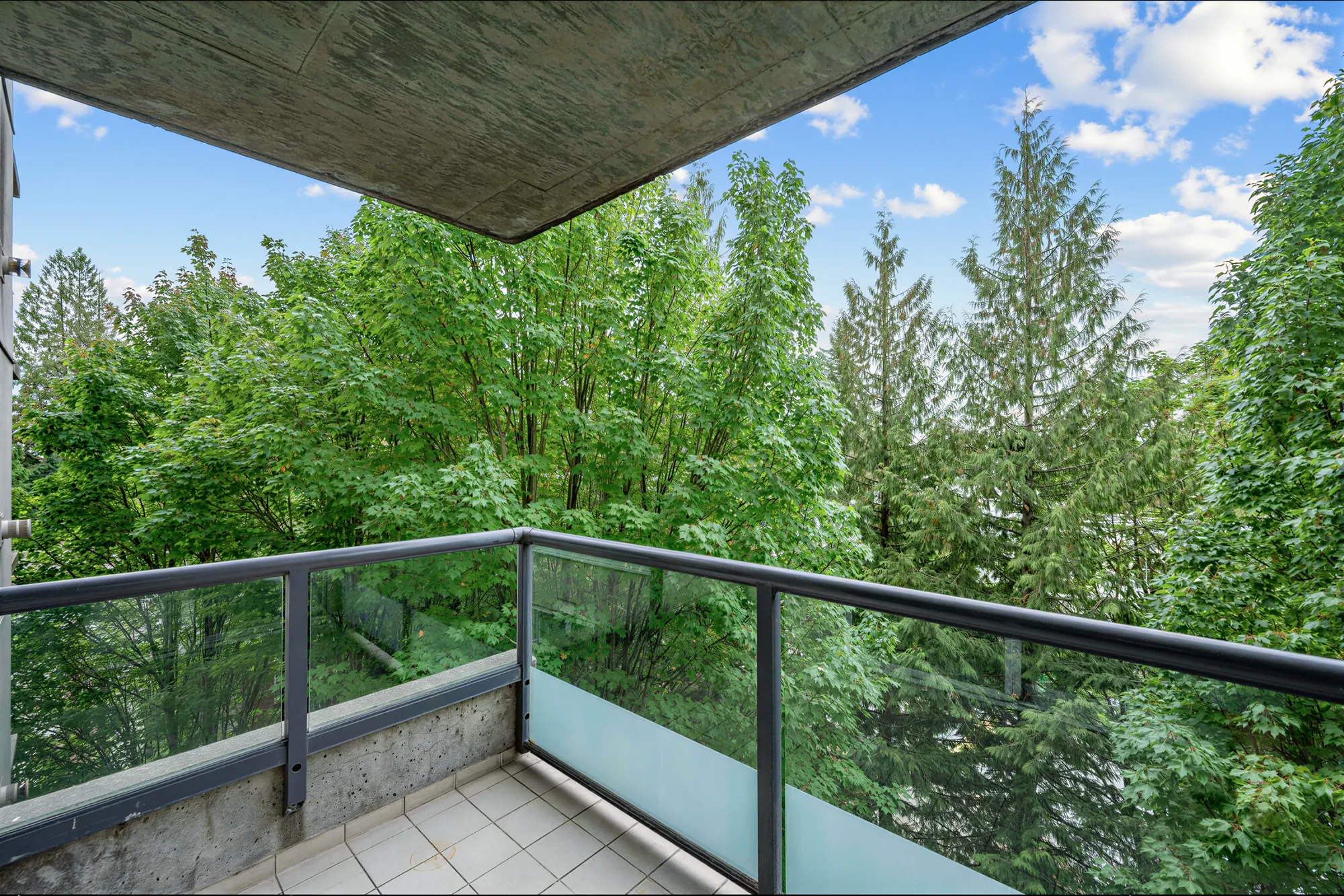The balcony with a glass and metal railing, trees close to the rail